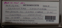 Image Associated With the Occurence
